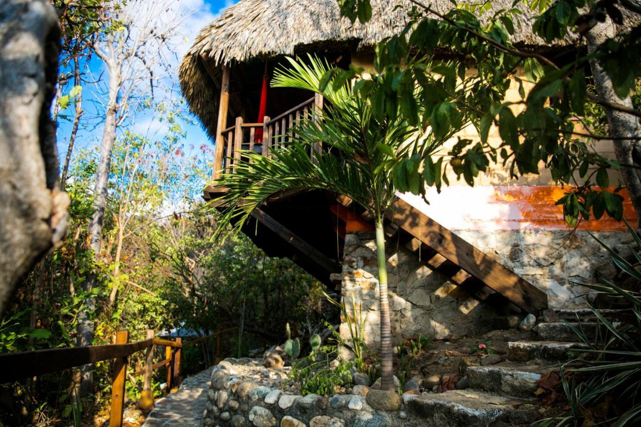 Hotel El Copal マスンテ エクステリア 写真