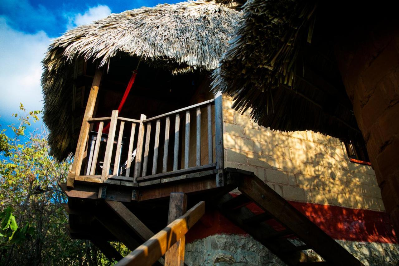 Hotel El Copal マスンテ エクステリア 写真