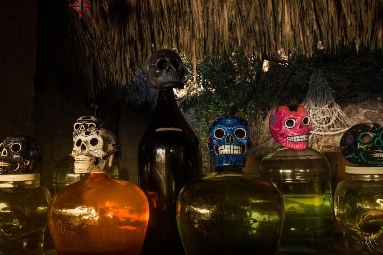 Hotel El Copal マスンテ エクステリア 写真